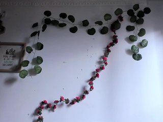 Pamela-Velvet Porn Show