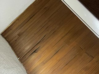 Pamela-Velvet Porn Show