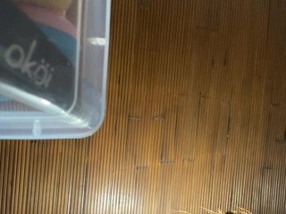 Pamela-Velvet Porn Show