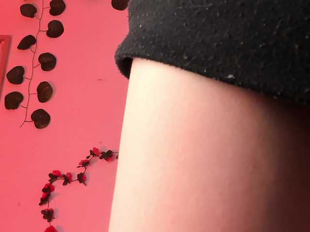  Pamela-Velvet chat room