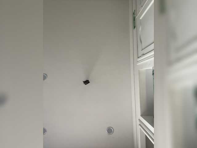 Pamela-Velvet's BongaCams show and profile