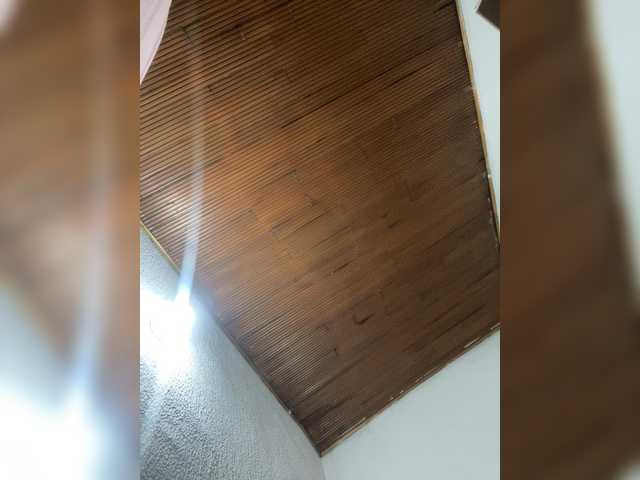 Pamela-Velvet's BongaCams show and profile