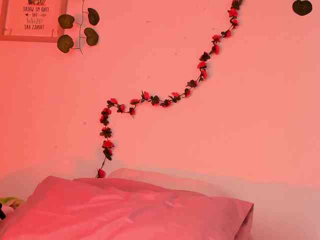 Pamela-Velvet webcam