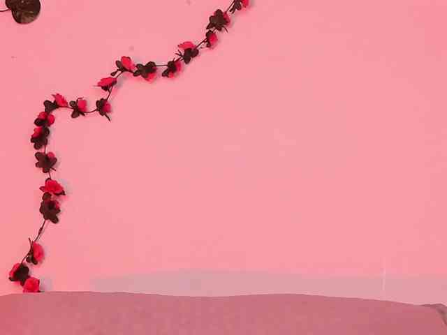 Pamela-Velvet Pamela-Velvet