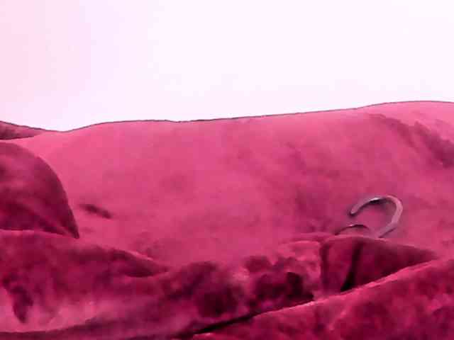 Pamela-Velvet Pamela-Velvet