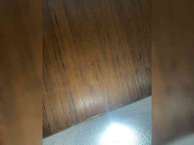 Pamela-Velvet webcam