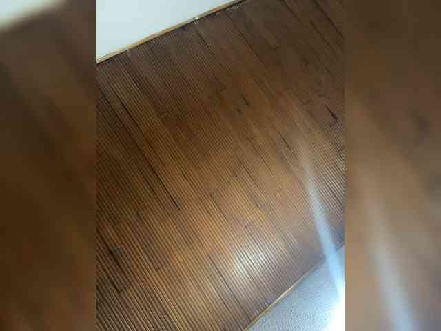 Pamela-Velvet webcam