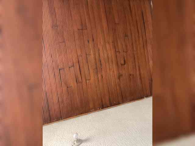 Pamela-Velvet webcam