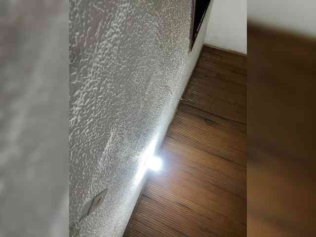 Pamela-Velvet webcam