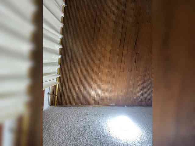 Pamela-Velvet webcam