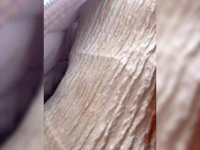 Pamela-Velvet webcam