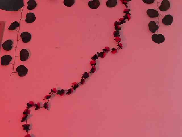 Pamela-Velvet Pamela-Velvet