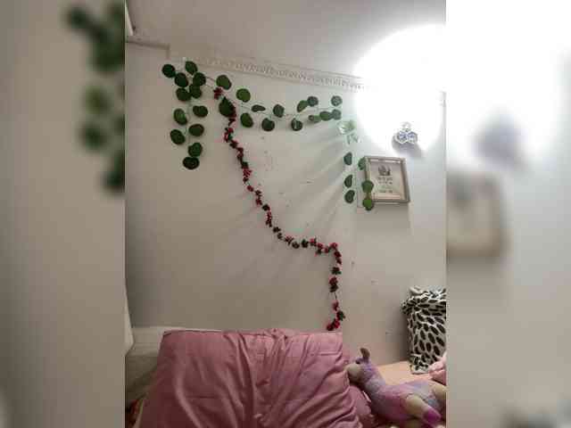 Pamela-Velvet webcam