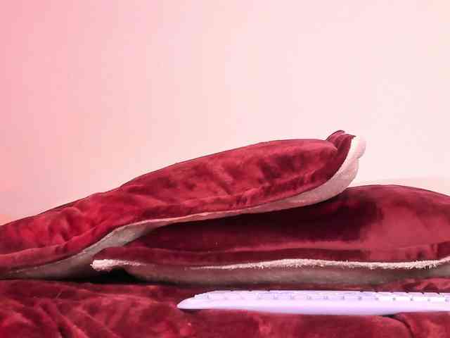 Pamela-Velvet webcam