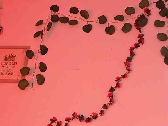 Pamela-Velvet webcam