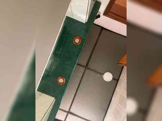 Pamela-Velvet webcam