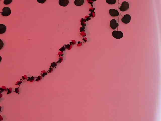 Pamela-Velvet webcam