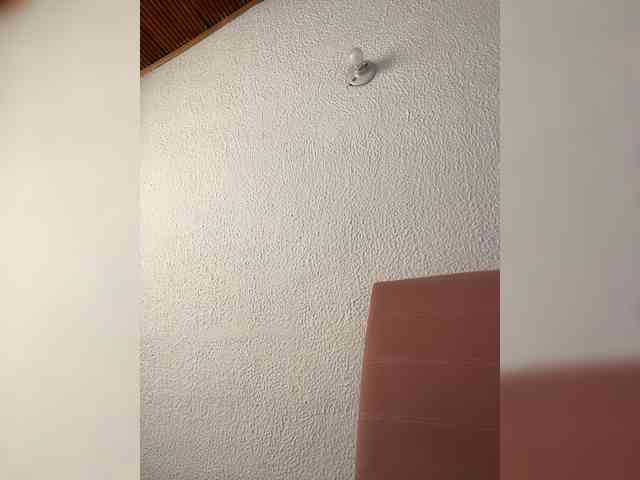 Pamela-Velvet webcam