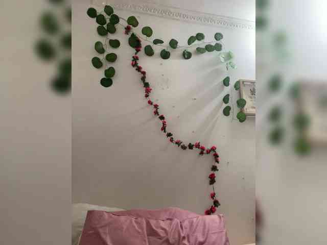 Pamela-Velvet webcam