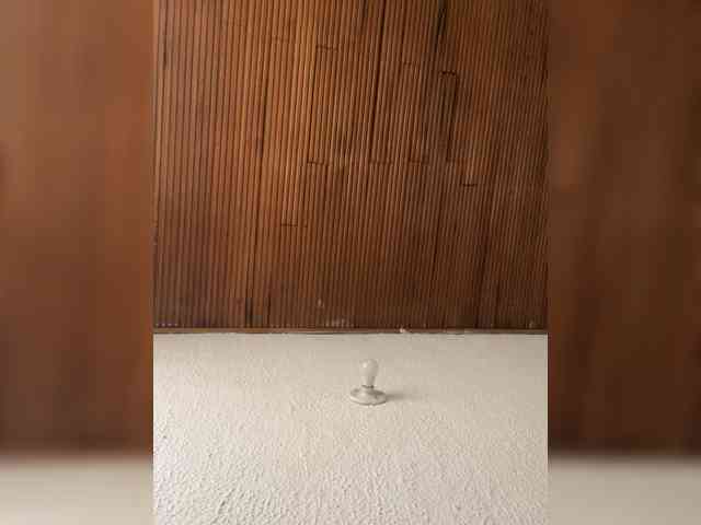 Pamela-Velvet webcam