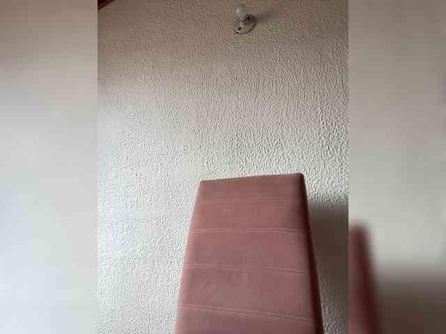 Pamela-Velvet webcam