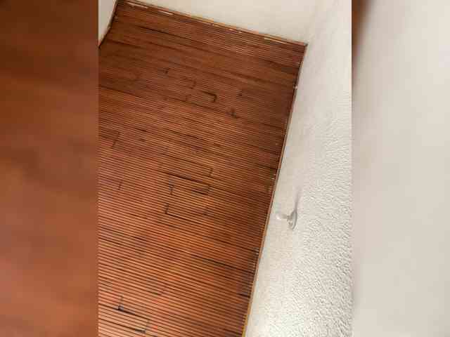 Pamela-Velvet webcam