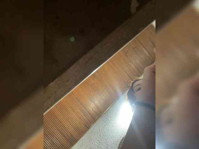 Pamela-Velvet webcam