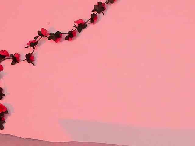 Pamela-Velvet webcam