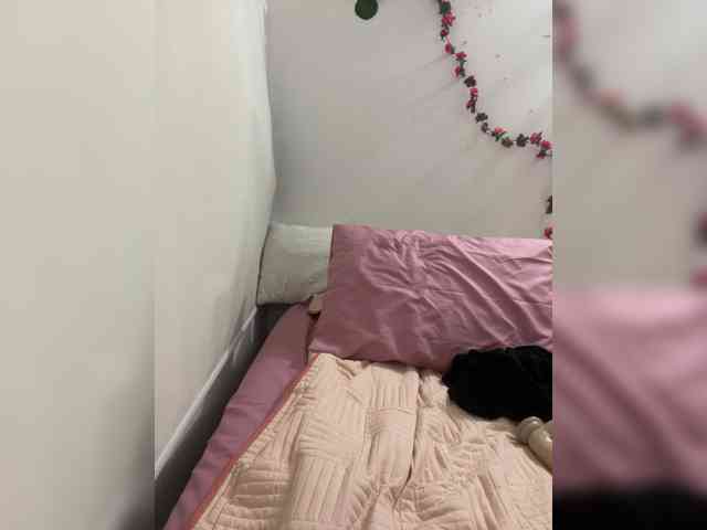 Pamela-Velvet Pamela-Velvet