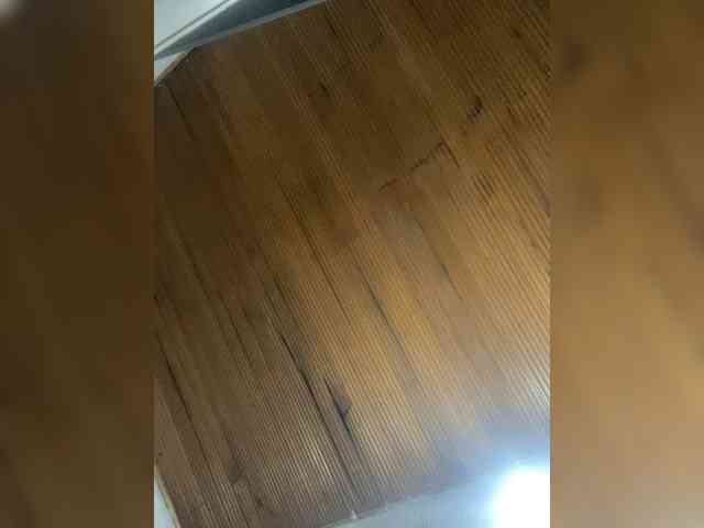 Pamela-Velvet webcam