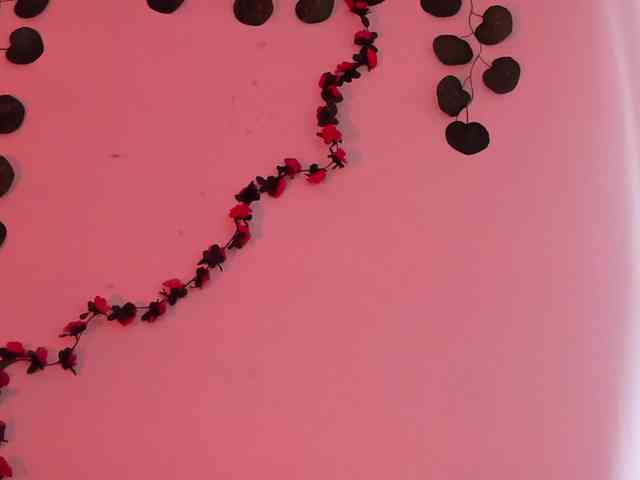 Pamela-Velvet webcam