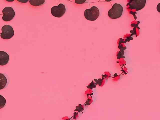 Pamela-Velvet webcam