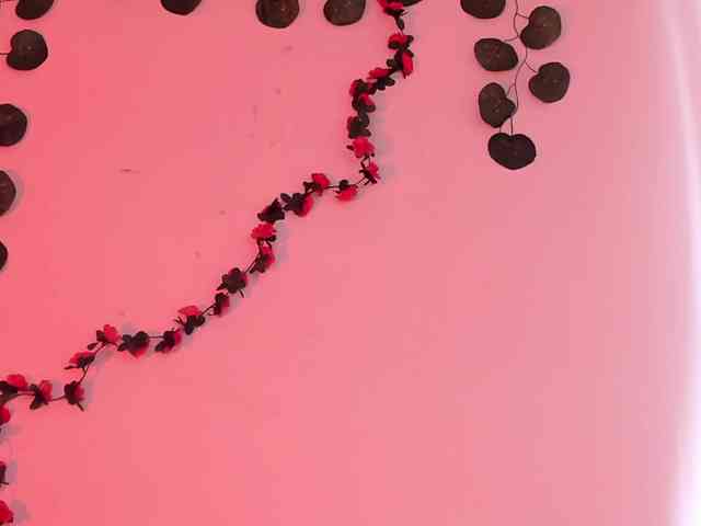 Pamela-Velvet webcam