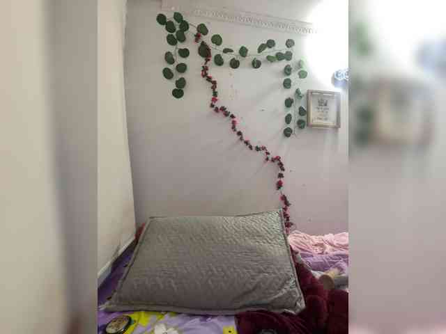 Pamela-Velvet Pamela-Velvet