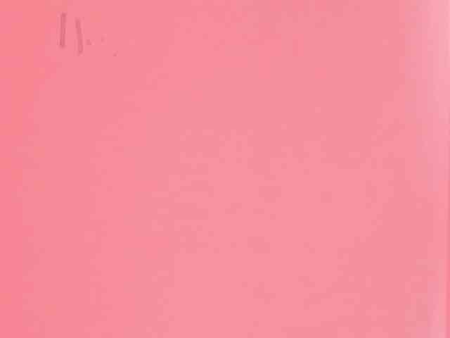 Pamela-Velvet webcam