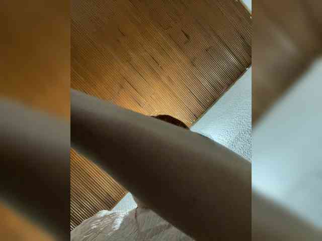 Pamela-Velvet webcam