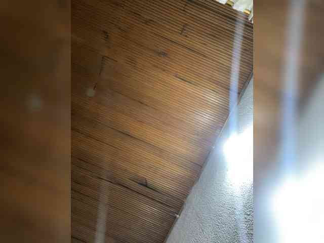 Pamela-Velvet webcam