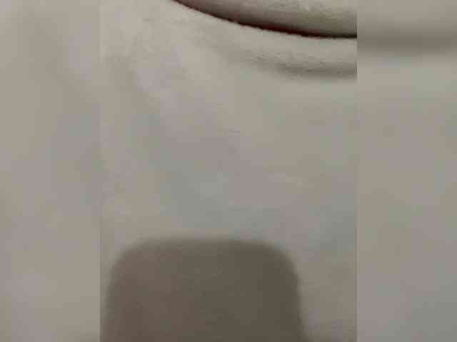 Pamela-Velvet Pamela-Velvet