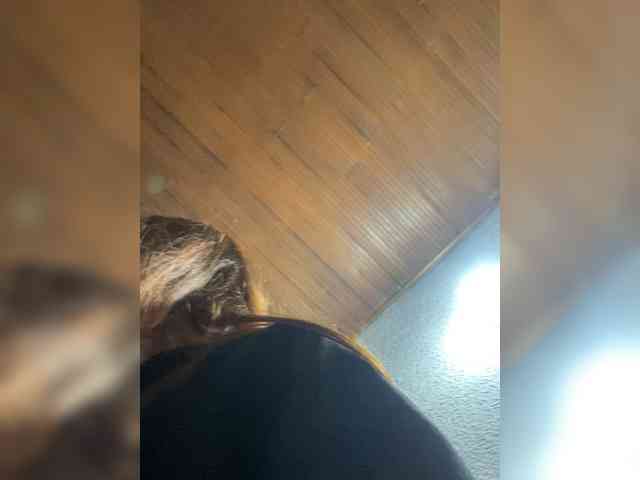 Pamela-Velvet webcam