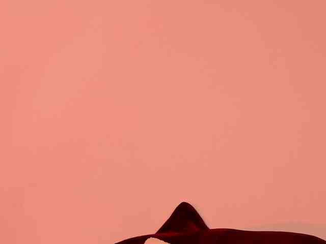 Pamela-Velvet webcam