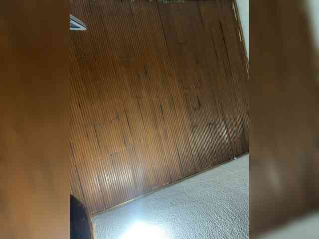 Pamela-Velvet webcam