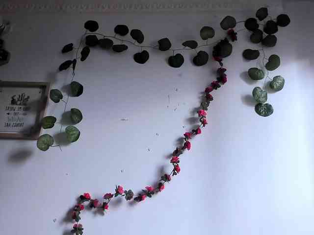 Pamela-Velvet Pamela-Velvet