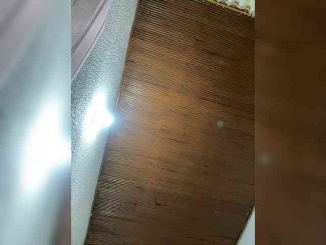 Pamela-Velvet webcam