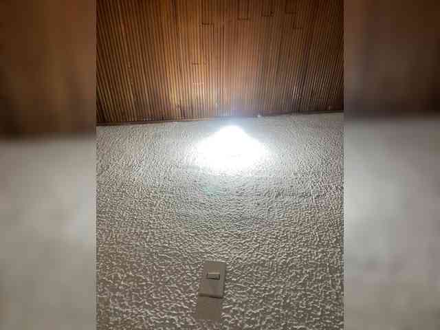 Pamela-Velvet webcam