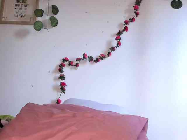 Pamela-Velvet webcam