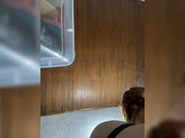 Pamela-Velvet webcam