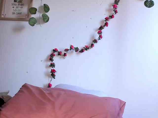 Pamela-Velvet Pamela-Velvet