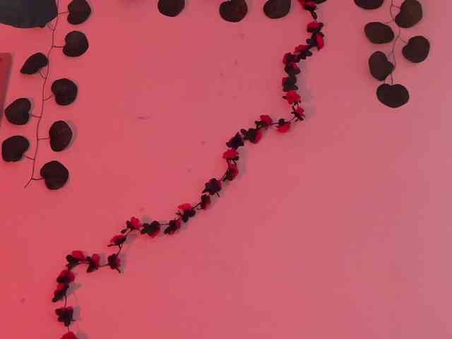 Pamela-Velvet webcam