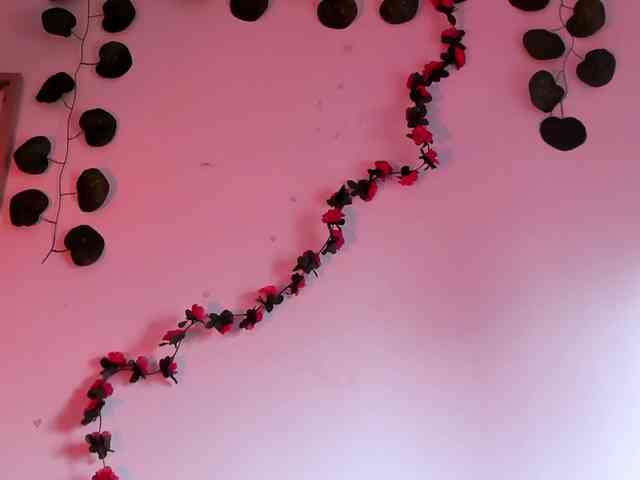 Pamela-Velvet webcam