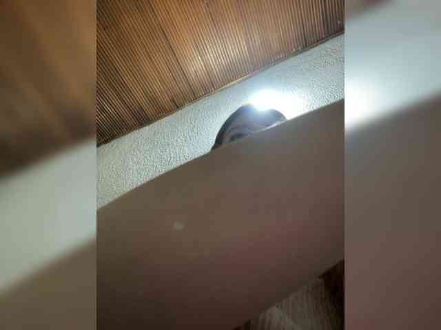 Pamela-Velvet webcam